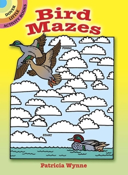Paperback Bird Mazes Book