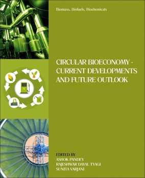 Paperback Biomass, Biofuels, Biochemicals: Circular Bioeconomy--Current Developments and Future Outlook Book