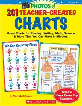 Paperback Photos of 201 Teacher-Created Charts Book