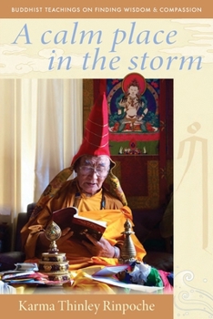 Paperback A Calm Place in the Storm: Buddhist Teachings on Finding Wisdom and Compassion Book