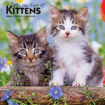 Calendar Kittens, for the Love of 2024 Mini 7x7 Book