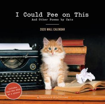 Calendar I Could Pee on This 2020 Wall Calendar: (funny 2020 Wall Calendars, Cat Calendars 2020, Cat Gifts for Cat Lovers) Book
