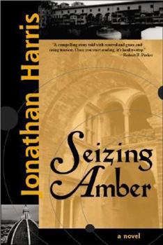 Paperback Seizing Amber Book