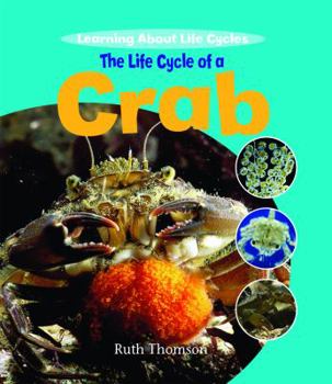 Library Binding The Life Cycle of a Crab Book