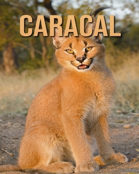 Paperback Caracal: Fun Facts & Cool Pictures Book