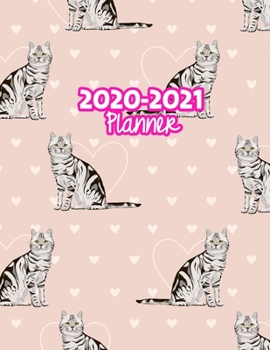 2020-2021 Planner: Two Year Calendar Organizer and Goal Journal | January 2020 - December 2021 Daily, Weekly and Monthly Planner Book with Back Sticker Expression Wall for 2 Years | Design Code 229964