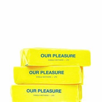 Vinyl Our Pleasure Book