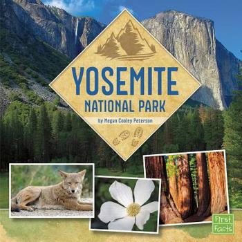 Paperback Yosemite National Park Book