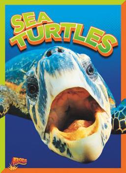 Paperback Sea Turtles Book