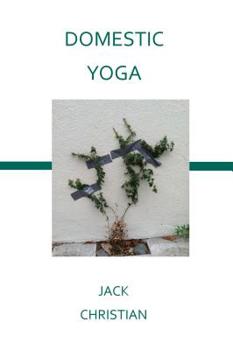 Paperback Domestic Yoga Book