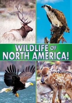 DVD Wildlife Of North America Book