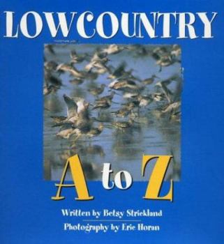 Hardcover Lowcountry A to Z Book