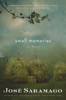 Paperback Small Memories Book