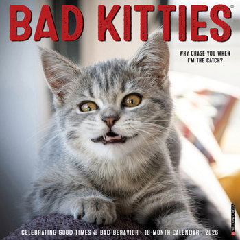 Calendar Bad Kitties 2026 Wall Calendar Book