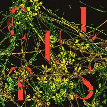 Music - CD Host Book