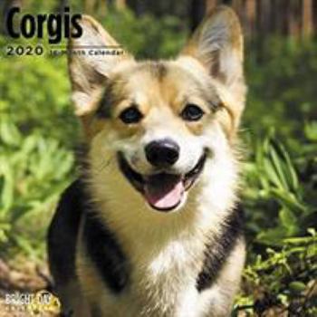 Calendar Corgis Wall Calendar 2020 Book