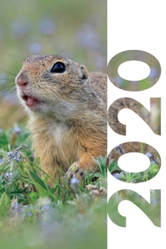 2020: Gifts for squirrel lovers Colorful Planner Calendar Organizer Daily Weekly Monthly Student Diary for research on gifts for animal activists