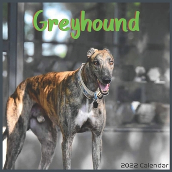 Greyhound calendar 2022: Official Greyhound Dog breed calendar 2022 16 Months