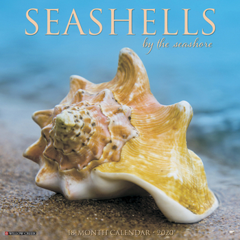 Calendar Sea Shells 2020 Wall Calendar Book