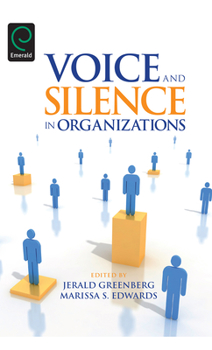Hardcover Voice and Silence in Organizations Book