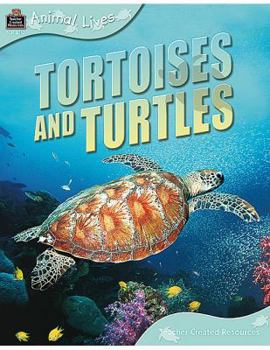 Paperback Animal Lives: Tortoises and Turtles Book