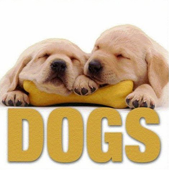 Hardcover Dogs Book