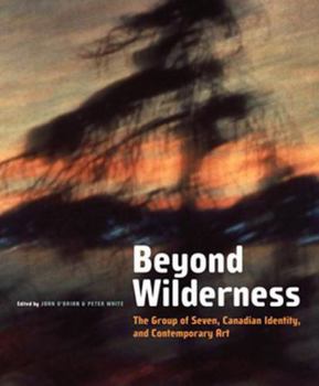 Paperback Beyond Wilderness: The Group of Seven, Canadian Identity, and Contemporary Art Book