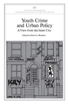 Paperback Youth Crime and Urban Policy: A View from the Inner City Book