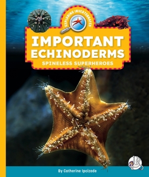 Library Binding Important Echinoderms: Spineless Superheroes Book