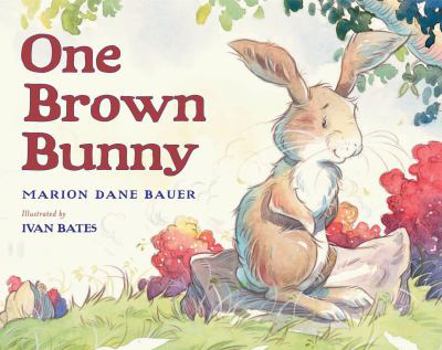 Hardcover One Brown Bunny Book