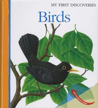 Spiral-bound Birds: Volume 15 Book