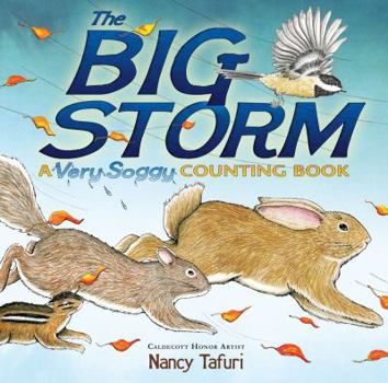 Hardcover The Big Storm: A Very Soggy Counting Book