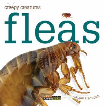 Fleas - Book  of the Creepy Creatures