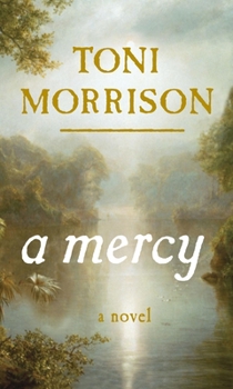 Hardcover A Mercy Book