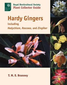 Paperback Hardy Gingers: Including Hedychium, Roscoea, and Zingiber Book