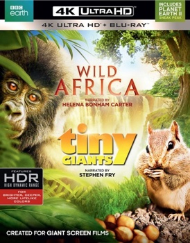 4K Ultra HD Wild Africa / Tiny Giants Book