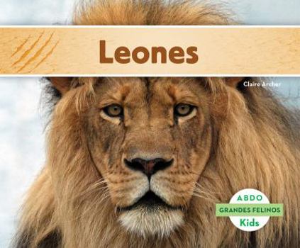 Library Binding Leones (Lions) (Spanish Version) [Spanish] Book