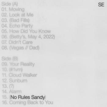 Vinyl No Rules Sandy[LP] Book