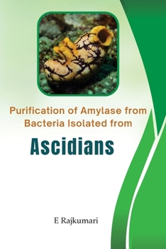 Paperback Purification Of Amylase From Bacteria Isolated from Ascidians Book