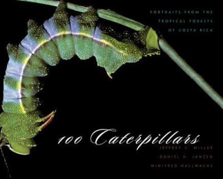 Hardcover 100 Caterpillars: Portraits from the Tropical Forests of Costa Rica Book