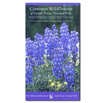 Paperback Common Wildflowers of Grand Teton National Park Book