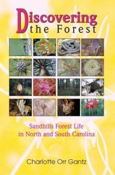 Paperback Discovering the Forest: Sandhills Forest Life in North and South Carolina Book