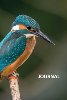 Journal: Kingfisher helpful Bullet Journal Dot Grid Daily Planner Student for researching how to start birding