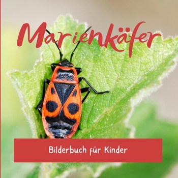 Paperback Marienkäfer: Bilderbuch für Kinder [German] Book