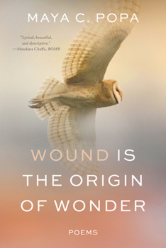 Paperback Wound Is the Origin of Wonder: Poems Book