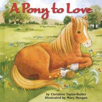 Hardcover A Pony to Love Book