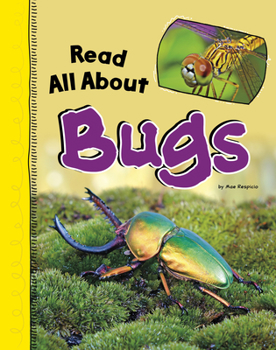 Paperback Read All about Bugs Book
