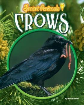 Crows - Book  of the Smart Animals