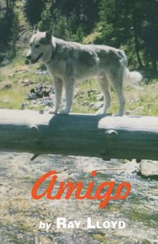 Paperback Amigo Book