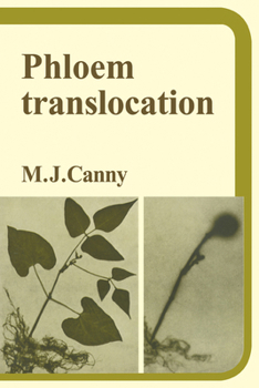 Paperback Phloem Translocation Book